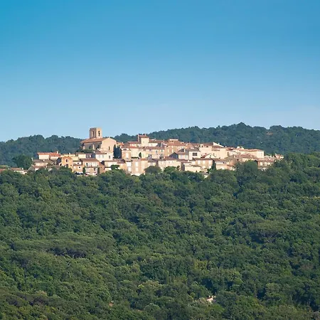 Zara - Tropez Saint-Tropez