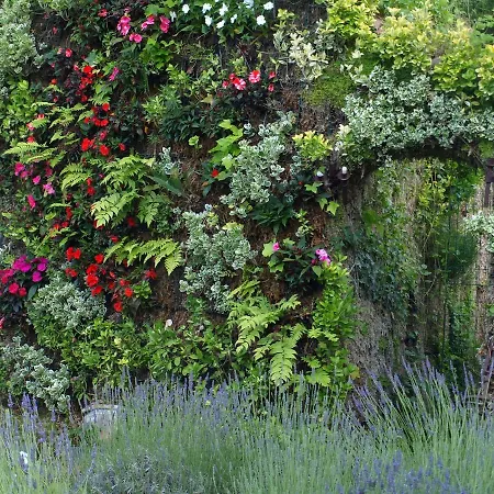 Villa Zara - Tropez *